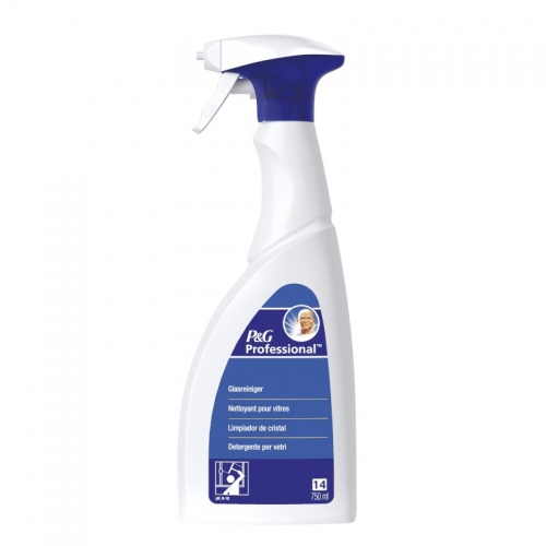 Mr Proper Professional P&G Professional - spray do czyszczenia szkła - 750 ml