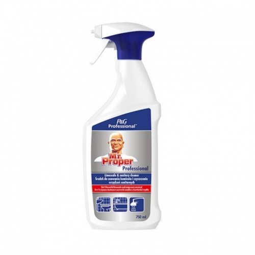 Mr Proper 2w1 Professional P&G Professional - spray do usuwania kamienia w łazienkach i toaletach - 750 ml